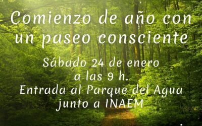 Paseo meditativo 24-01-2026