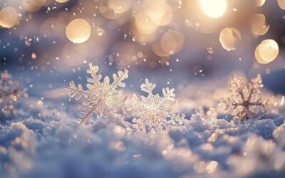 Invierno de recogimiento y silencio.