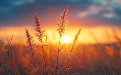 Meditación para soltar miedo e inseguridad